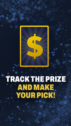 Interactive Mystery Prize Shuffle screen showing a dollar sign prize with text 'Track the Prize and Make your Pick.